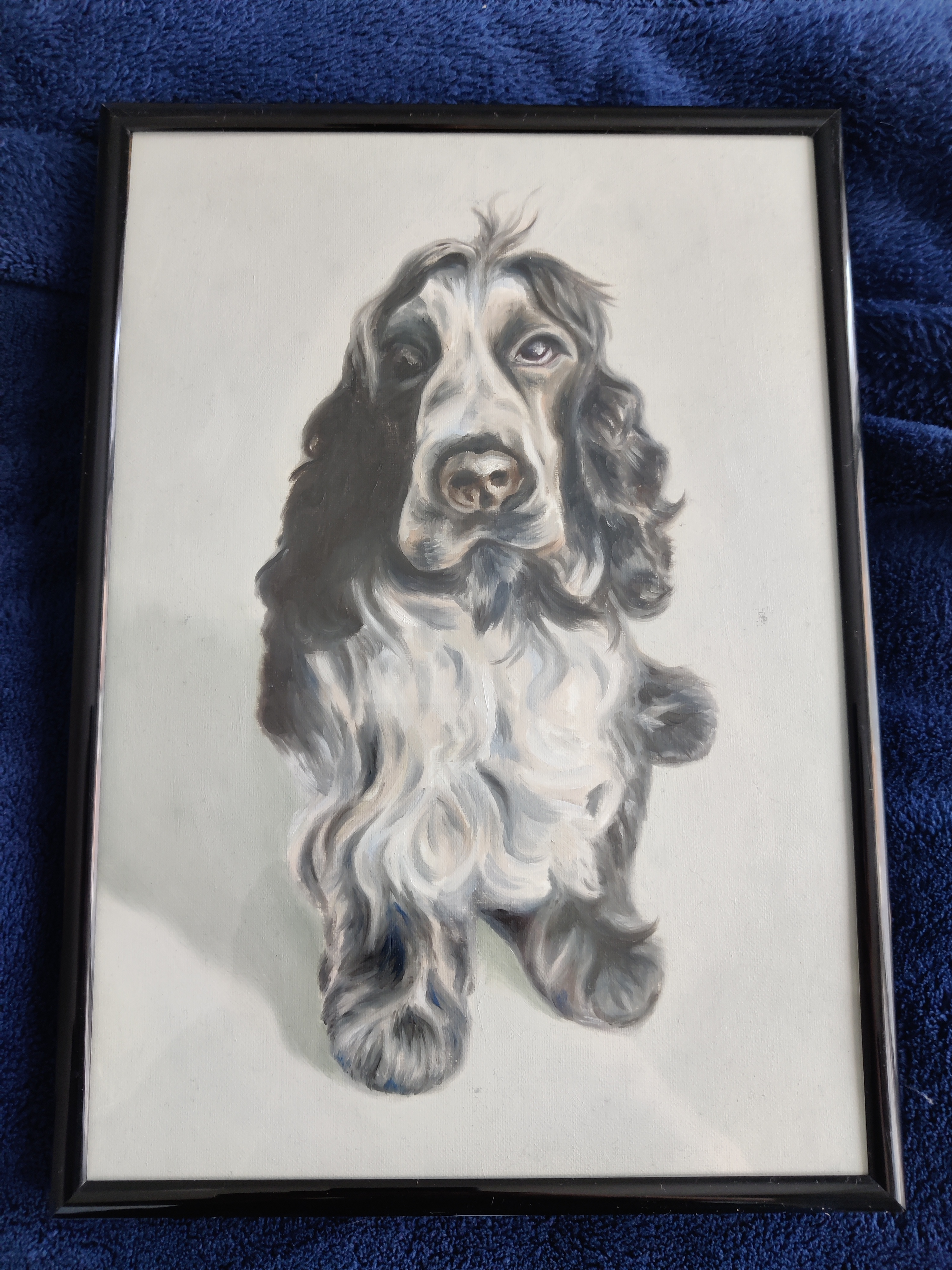 Dog portrait